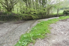 5. Downstream from Tarr Water Cottages