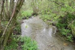 51. Upstream from Pool Farm