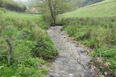 9. Downstream from Tarr Water Cottages