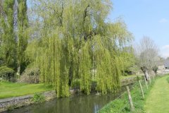 9.-Telliford-Mill-Mill-Stream