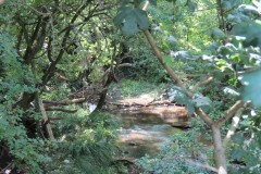 10.-Upstream-from-Wellenge-Bridge