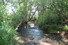11.-Upstream-from-Wellenge-Bridge-1
