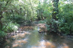 11.-Upstream-from-Wellenge-Bridge-2