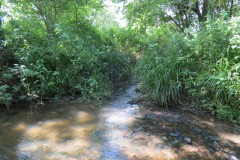 11.-Upstream-from-Wellenge-Bridge-3