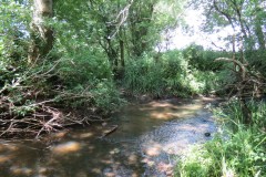 11.-Upstream-from-Wellenge-Bridge-4