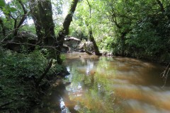 11.-Upstream-from-Wellenge-Bridge-6