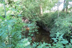13.-Downstream-from-Two-Bridges-Farm-Ford