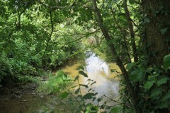 26.-Upstream-from-Two-Bridges-Farm-Ford