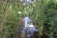 IMG_1611