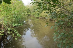 14.-Downstream-from-Weirside-Riverside-bridge-3