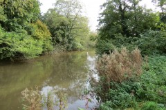 14.-Downstream-from-Weirside-Riverside-bridge-5