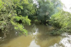 8.-Looking-upstream-from-Weirfield-Riverside-bridge