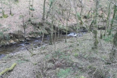 10. Downstream from Bridge Ball