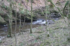 11. Downstream from Bridge Ball