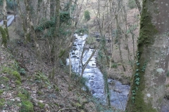 12. Downstream from Bridge Ball