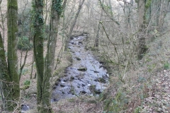 17. Upstream from Dippers Lodge