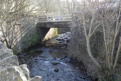 5. Looking upstream to Bridge Ball Bridge