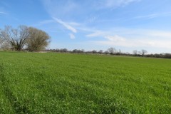IMG_8187