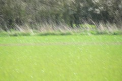 IMG_8188