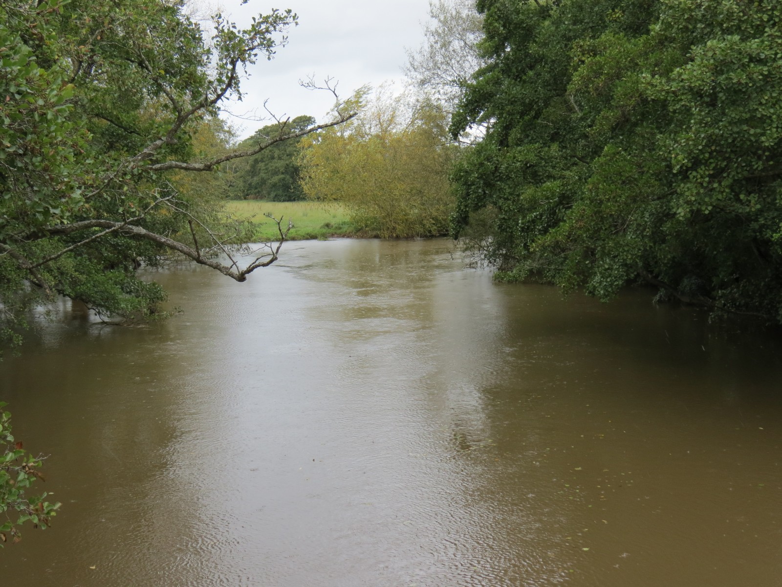 2.-Looking-upstream-from-Longrun-Meadow-Footbridge