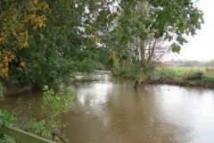 1a.-Looking-downstream-from-French-Weir-Avenue-Pipe-Bridge