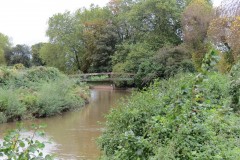 20.-Looking-upstream-to-Clarence-Street-Pipe-Bridge