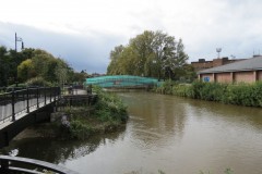 37.-Looking-upstream-to-Goodlands-Garden-footbridge.