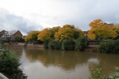 52.-Downstream-from-Brewhouse-Theatre