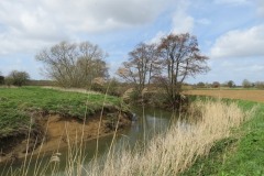 3.-Downstream-from-Gawbridge-Bow-4