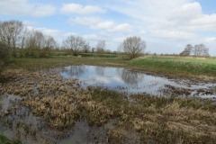4.-Small-pond-by-River-Parrett-downstream-from-Gawbridge-Bow