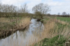 7.-Upstream-from-Kingsbury-Episcopi-1