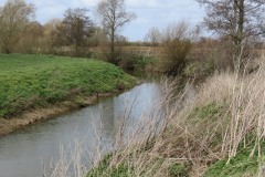 7.-Upstream-from-Kingsbury-Episcopi-10