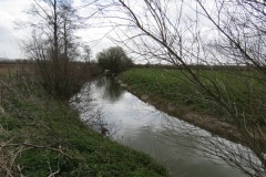 7.-Upstream-from-Kingsbury-Episcopi-11