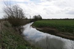 7.-Upstream-from-Kingsbury-Episcopi-12