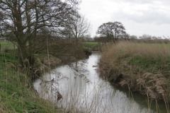 7.-Upstream-from-Kingsbury-Episcopi-3