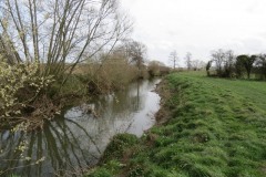 7.-Upstream-from-Kingsbury-Episcopi-4