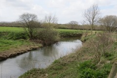 7.-Upstream-from-Kingsbury-Episcopi-5