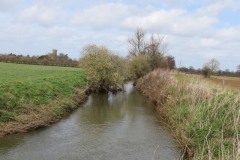 7.-Upstream-from-Kingsbury-Episcopi-6