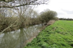 7.-Upstream-from-Kingsbury-Episcopi-7