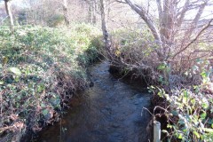 10.-Upstream-from-Kilve-road-bridge-2