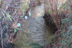 10.-Upstream-from-Kilve-road-bridge-4