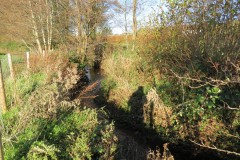 10.-Upstream-from-Kilve-road-bridge-7