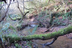 2.-Flowing-through-Oyles-Wood-12