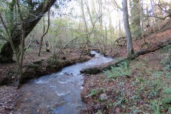 2.-Flowing-through-Oyles-Wood-9