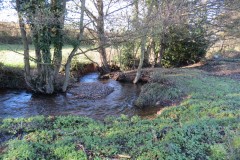 6.-Downstream-from-Broad-Wood-Copse-4