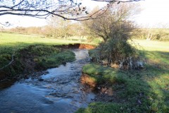 6.-Downstream-from-Broad-Wood-Copse-8