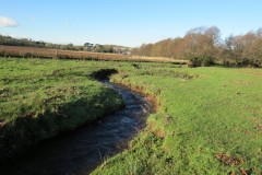 7.-Upstream-from-Kilve-Accommodation-Bridge-2
