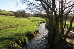 8.-Looking-upstream-from-Kilve-accommodation-bridge