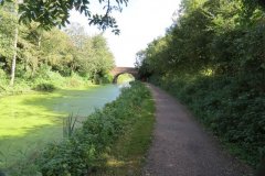 20.-Canal-between-Buckland-Bridge-and-Sampford-Peverell-2