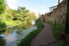 28a.-Looking-upstream-from-Sampford-Peverell-Footbridge